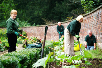 Garden volunteers Neil Langan