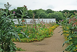 The kitchen garden